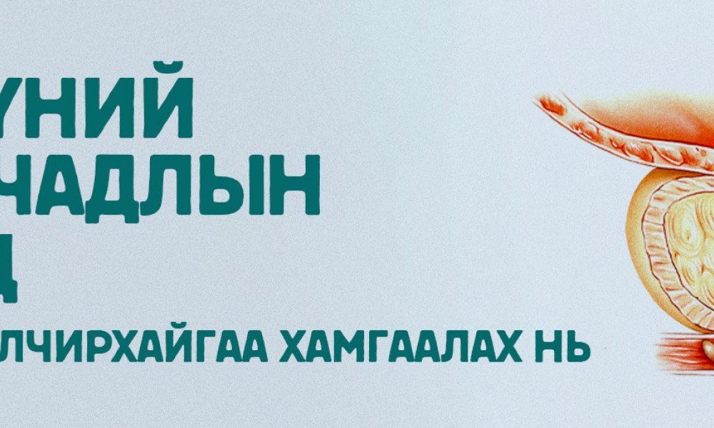 Сэрүүлэг болсон биеийн дохио 