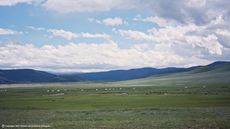 Mongolie Steppe Vallee De L'Orkhon