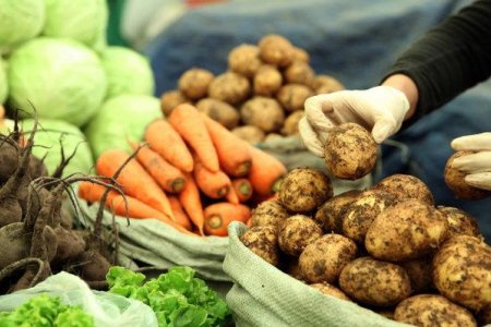 Ургац хураалтад хүнсний дэмжлэг авдаг иргэдийг хамруулна