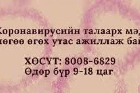 Хонгконг-Улаанбаатар чиглэлийн онгоцоор ирж байгаа өндөр халуунтай иргэнийг ХӨСҮТ-ийн тандалтын багийнхан тусгаарлана гэв