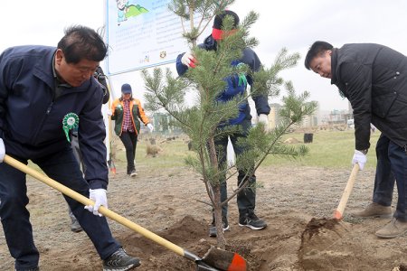 Үндэсний цэцэрлэгт хүрээлэнд “Намянжү Дасаны төгөл” байгууллаа