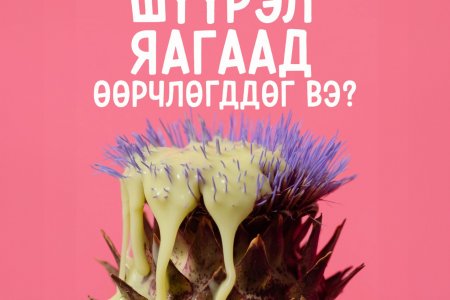 Үтрээний Шүүрэл Яагаад Өөрчлөгддөг вэ?