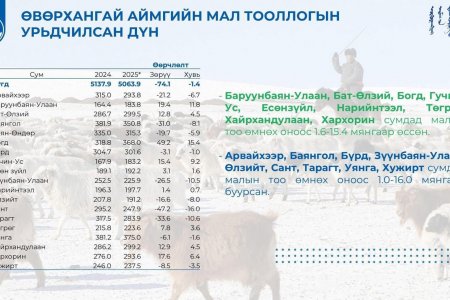 2025 ОНЫ МАЛ ТООЛЛОГЫН ДҮН МЭДЭЭ