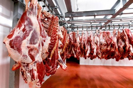 2020 оноос махны экспортыг зогсооно