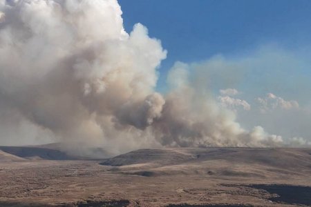Нөмрөгийн дархан цаазат газрын түймэрт 468 965 га талбай өртжээ
