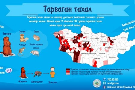 ТАРВАГАН ТАХЛЫН ЭСРЭГ ВАКЦИНЫГ ӨНӨӨДРӨӨС ХИЙЖ ЭХЭЛНЭ