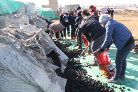 Ажлын хөлсөөрөө зорилтот бүлгийн 20 өрхөд шахмал түлш хандивлажээ