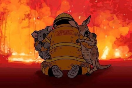 Австралийн гал түймрийн улмаас 24 хүн амиа алдаж, 500 сая амьтан шатжээ