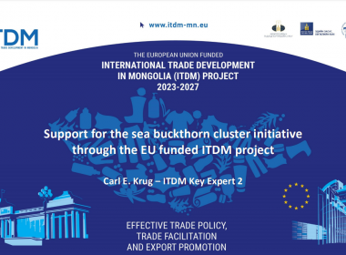 Support for the sea buckthorn cluster initiative through the EU funded ITDM project