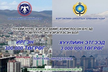 Түүхий нүүрс нэвтрүүлсэн, хэрэглэсэн бол 300 мянгаас гурван саяар ТОРГОНО