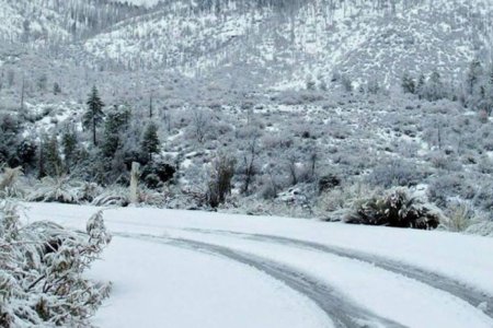 Ихэнх нутгаар хүйтний эрч бага зэрэг чангарна