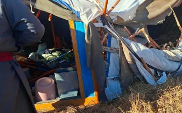 Завханд баавгай эзэнгүй айлын гэр рүү дайрчээ