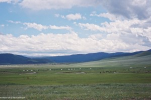 Mongolie Steppe Vallee De L'Orkhon
