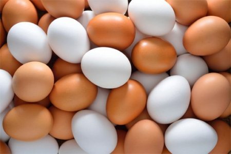 Муудсан өндгийг мэдэх арга