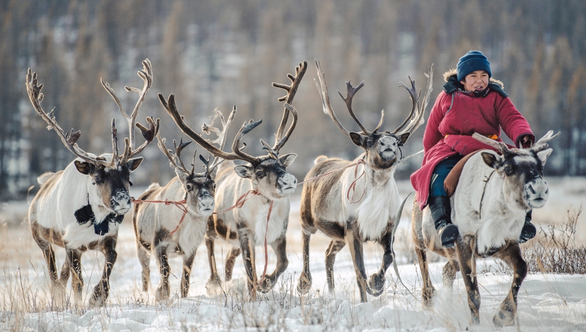 Conservation policies threaten indigenous reindeer herders in Mongolia, image size:1200x680