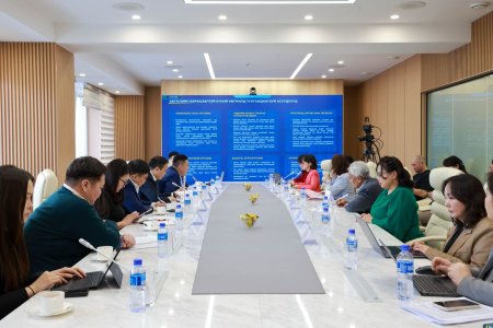 ХӨГЖЛИЙН БЭРХШЭЭЛТЭЙ ХҮНИЙ ЭРХИЙГ ХАНГАХ ЗӨВЛӨЛ, ДЭД ЗӨВЛӨЛИЙН УУЛЗАЛТ БОЛОВ 