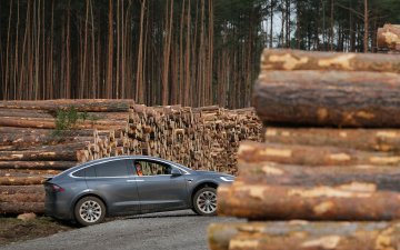 Тесла компанийн Герман дахь үйлдвэрийн барилгын ажил хойшиллоо