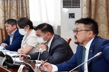 Сайн сортын үрээр тариалалт хийснээр ургацыг 25-50 хүртэл хувиар нэмэгдүүлэх боломжтой