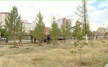 “Тэрбум мод” сангаас 34 төсөлд 1.3 тэрбум төгрөгийн грант буюу буцалтгүй санхүүжилт олгохоор болсон байна
