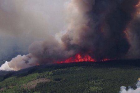 АНУ-ын Нью-Йорк хотын захирагч пүрэв гаргаас эхлэн амны хаалтыг оршин суугчдадаа үнэгүй тарааж эхэлнэ гэдгээ мэдэгджээ