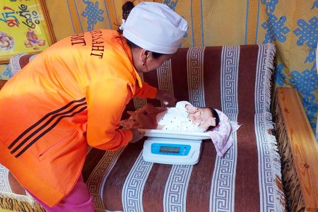 Томуу, томуу төст өвчнөөс сэргийлж, гэрийн эргэлт үзлэгийг нэмэгдүүллээ