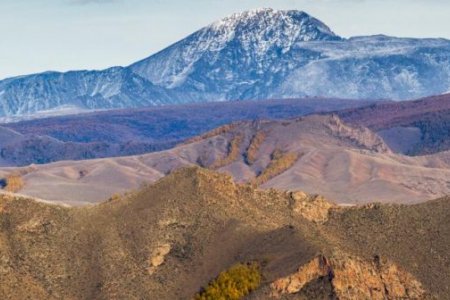 Цасан нурангид өртсөн 17 уулчдын цогцсыг бүгдийг нь оллоо