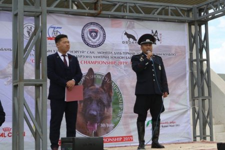 “German shepherd championship 2019” тэмцээн зохион байгуулагдлаа