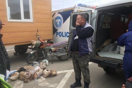 14 БОДГАЛЬ ТАРВАГАНЫ АРЬСТАЙ ХӨЛДӨӨСӨН, БОЛОВСРУУЛААГҮЙ МАХЫГ УЛААНБААТАР ХОТ РУУ НЭВТРҮҮЛЭХИЙГ ТАСЛАН ЗОГСООЛОО