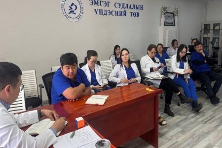 ЭМГЭГ СУДЛААЧ ЭМЧ НАРЫН ЦАХИМ ХЭЛЭЛЦҮҮЛЭГ 
