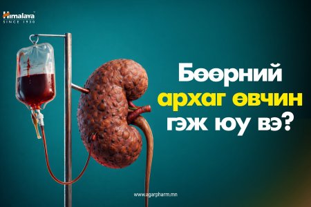 Бөөрний архаг өвчин гэж юу вэ?