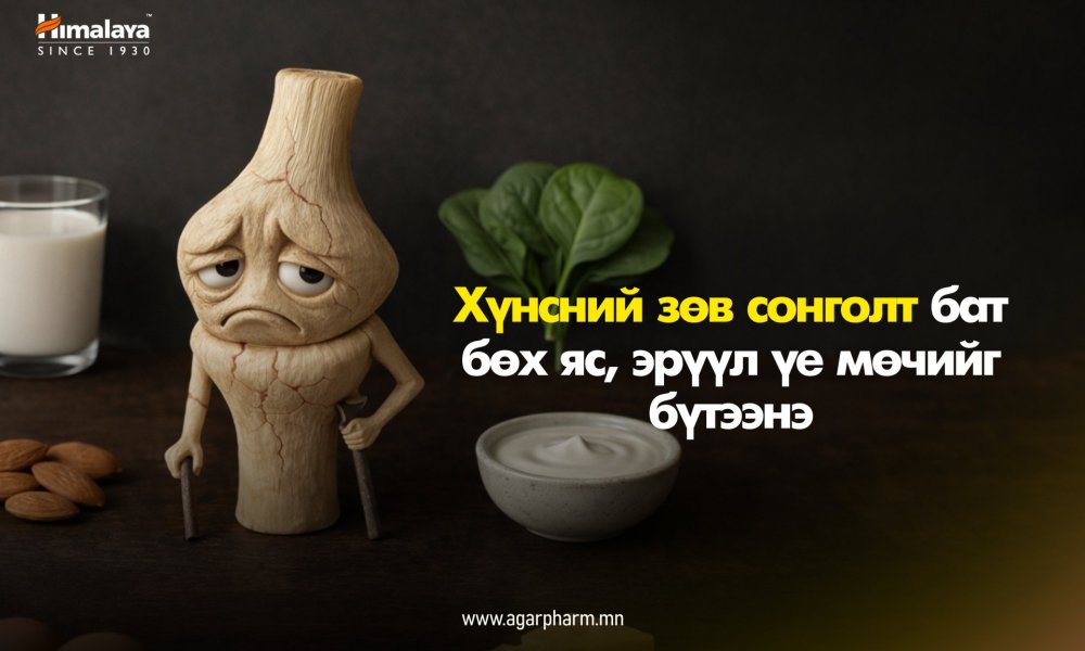 Зөв хооллолт – бат бөх яс, уян үеийн нууц зэвсэг