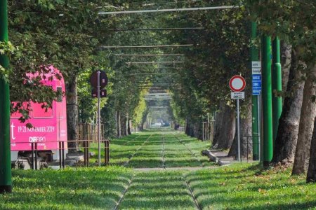 Европт хэт халалт үргэлжилсэн хэвээр байвал ургацад сөргөөр нөлөөлж, хүнсний хямралд хүргэж болзошгүй