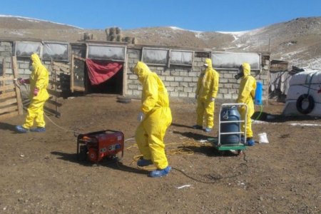 Нийт 14.7 сая м2 талбайд орчны цэвэрлэгээ, халдваргүйтгэлийг хийлээ