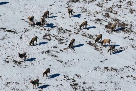 БИОТЕХНИКИЙН АРГА ХЭМЖЭЭ АВЧ АЖИЛЛАЛАА.