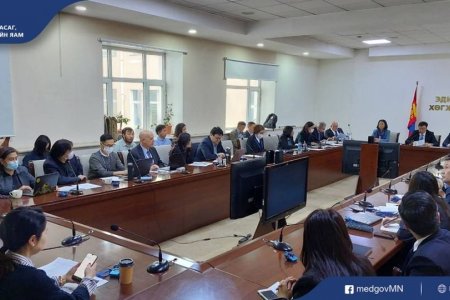 ROUNDTABLE ON SMART BORDERS IN MONGOLIA WAS HELD SUCCESSFULLY 
