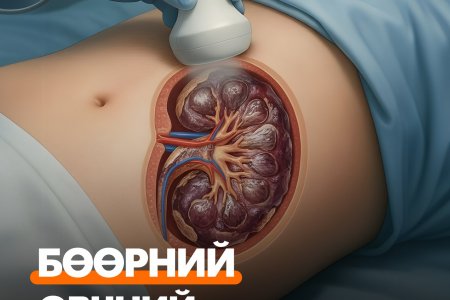 Бөөрний өвчнийг эхо шинжилгээгээр оношлох нь