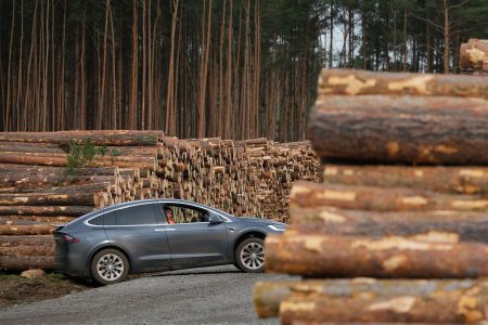 Тесла компанийн Герман дахь үйлдвэрийн барилгын ажил хойшиллоо