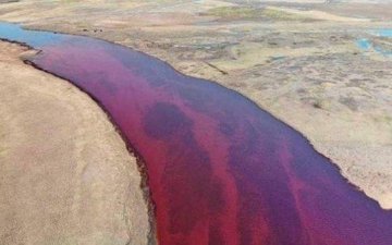 ОХУ-ын Амбарная голд асгарсан 11 мянган тонн дизель түлшийг цэвэрлэжээ