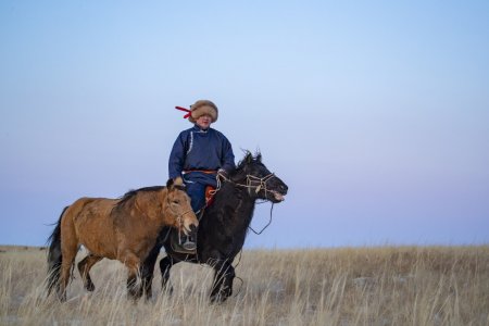 Монгол Улсын Ерөнхий сайд У.Хүрэлсүхийн XVII жарны Хотол хэмээх төмөр хулгана жилийн Цагаан сарын баярын мэндчилгээ