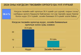 2024 оны нэгдсэн төсвийн гүйцэтгэлийн аудитын тайлангаас