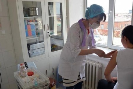 Улирлын томуугийн эсрэг вакцинд 87.036 хүн хамрагдаад байна