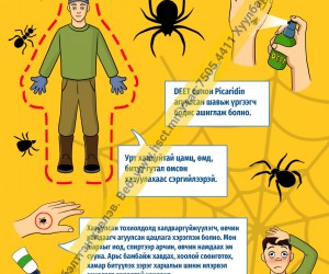 Хортон шавьжнаас сэргийлцгээе (D1D78)