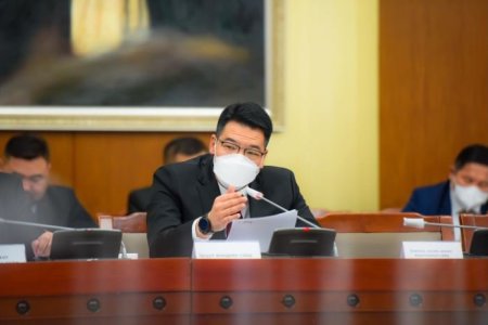 С.Энхболд: Улсын хэмжээнд томуу, томуу төст өвчин ИДЭВХЖЛИЙН ТҮВШИНД байна