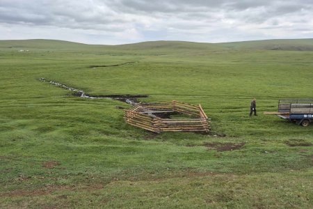 БУЛГИЙН ЭХ ХАШЛАА