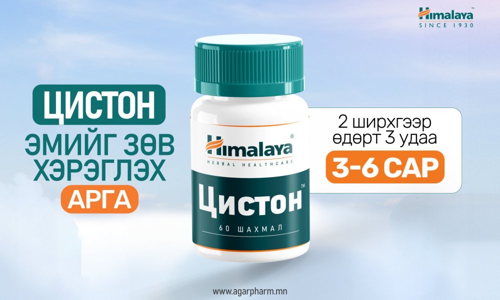 Цистон эмийг хэрхэн зөв хэрэглэх вэ? 