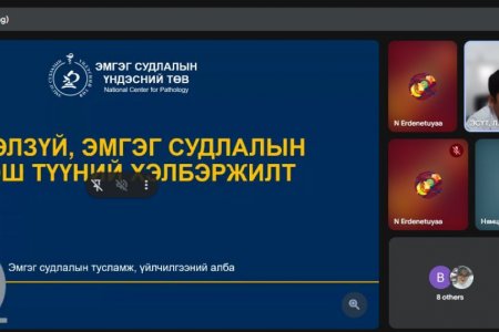 “ЭМНЭЛЗҮЙ, ЭМГЭГ СУДЛАЛЫН ОНОШ ТҮҮНИЙ ХЭЛБЭРЖИЛТ”  СУРГАЛТ ЗОХИОН БАЙГУУЛЛАА