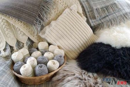 Урамшууллын баримтаар 2019 онд ноос худалдан авах эрх бүхий боловсруулах үйлдвэрүүдийн жагсаалтыг нийтэд мэдээлж байна