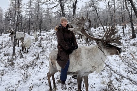 If you’d like to know more about reindeer, check out these 20 interesting facts!