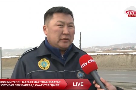 Үхсэн малын мах хотруу оруулж ирсэнийг НМХГ-аас саатууллаа