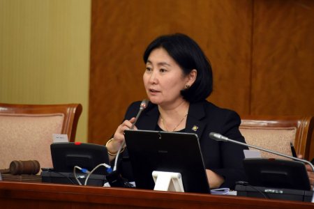 Төсвийн зарлагын хяналтын дэд хороо “Монгол Улсын 2018 оны төсвийн гүйцэтгэлийг батлах тухай” УИХ-ын тогтоолын төслийг батлахыг дэмжлээ